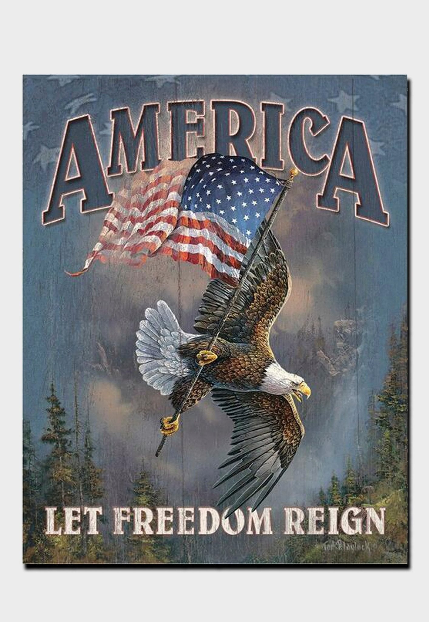 Let Freedom Reign tin sign - ArmedAF